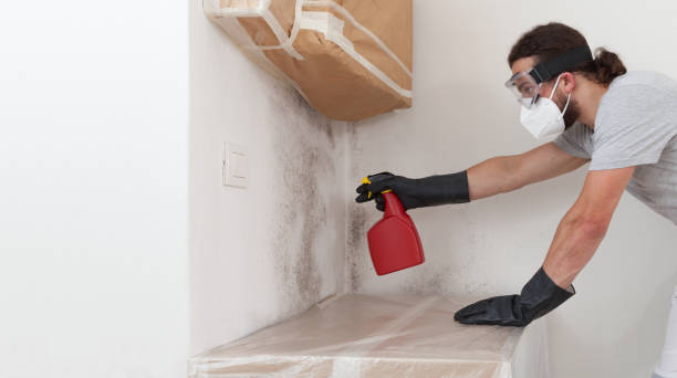 Professional Mold Remediation technician working in Johnstown, NY